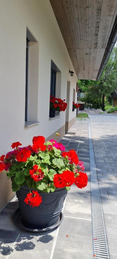 Nona Bb Bed & Breakfast Postojna Ngoại thất bức ảnh